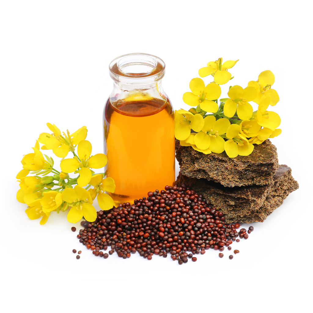 canola production (1)