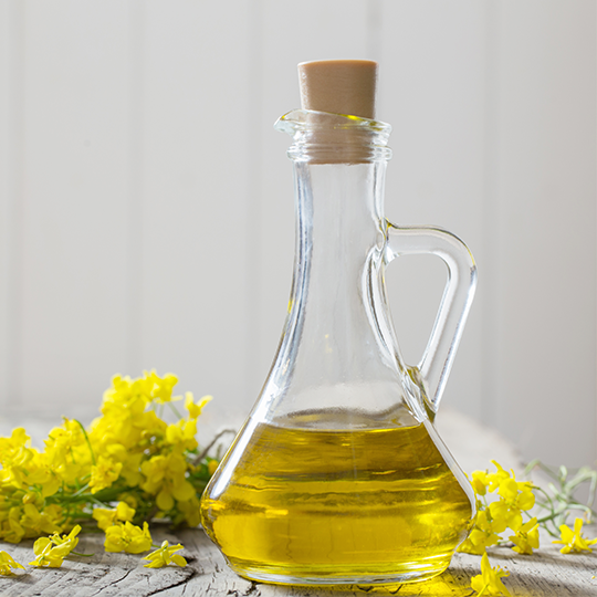 canola rapseeds oil