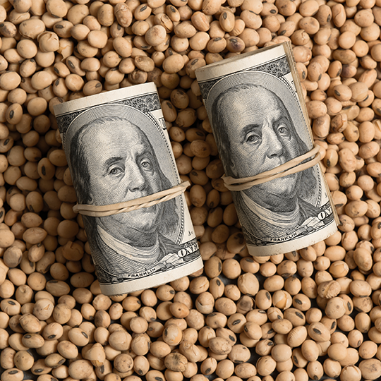 futures for soybeans