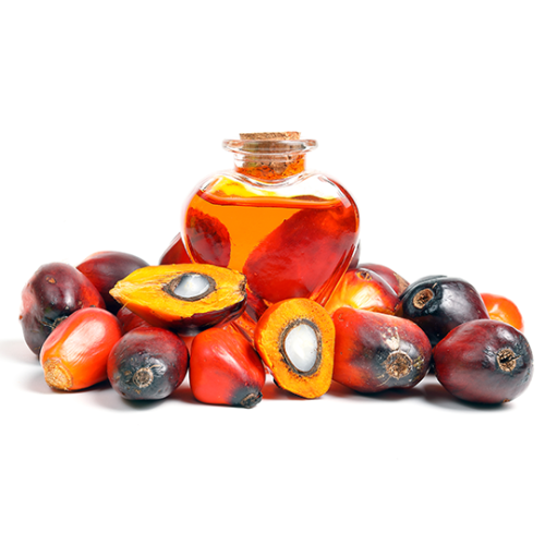 palmoil (1)