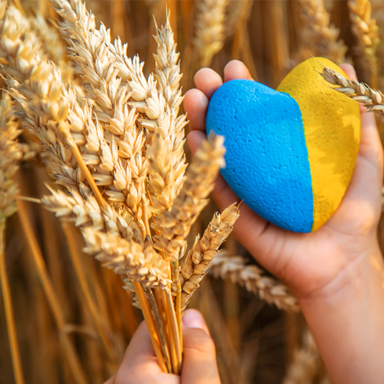 ukraine graine