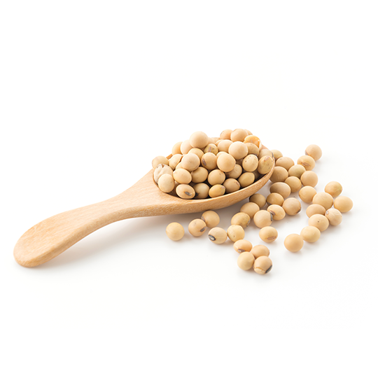 soybean meal