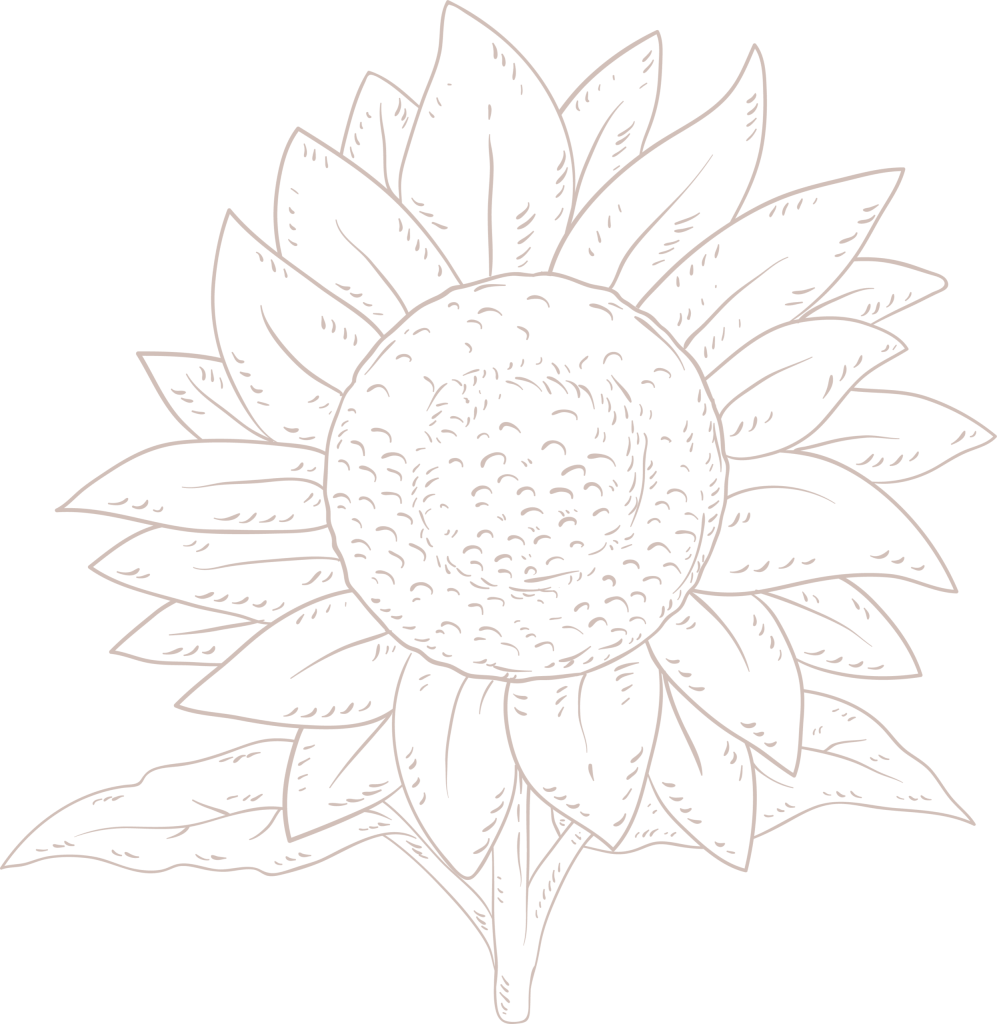 sunflower front scaled