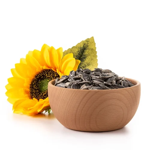 sunflower1024 1024x1024